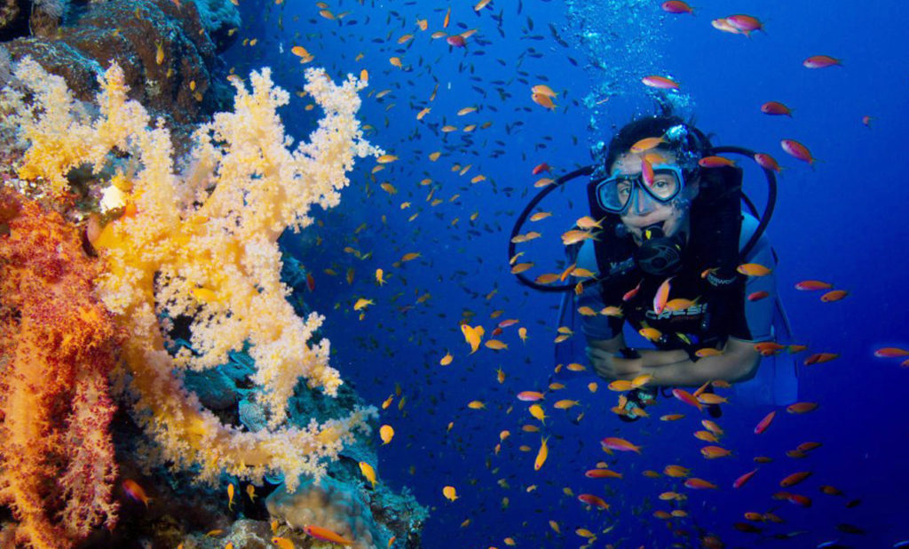 A Premium Way To Dive - H2O Divers Dahab